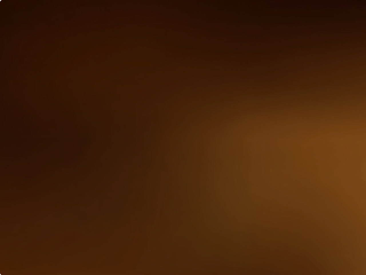 The Bloom Internship Program